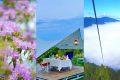 賞花、觀云、露營(yíng)……這才是夏天的正確打開(kāi)方式！縮略圖
