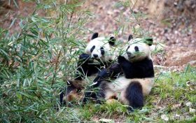 “近郊鄉(xiāng)村游”缺線路？馬上安排！縮略圖