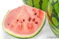 一口8400個(gè)細(xì)菌？你是合格的夏日“吃瓜群眾”嗎？縮略圖