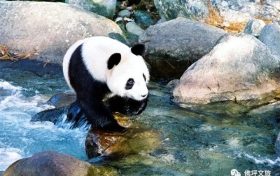 全國首家！開工！縮略圖