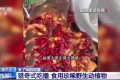 流量至上催生獵奇式吃播 多管齊下如何剎住“吃奇”之風(fēng)？縮略圖
