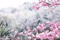 2022年十大流行語(yǔ)發(fā)布 你最熟悉的是哪個(gè)？縮略圖