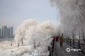 明天16時29分，正式進入……縮略圖