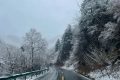 春雪別冬，觸處花開！縮略圖