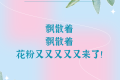 花粉季又又又又又來了，“過敏星人”怎樣度過？縮略圖