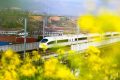 出行更方便！漢中、寧強(qiáng)南往返西安北加開多趟列車縮略圖