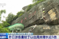 五一假期開局火爆 哪些消費呈現(xiàn)出強勁勢頭？縮略圖