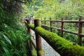 “自媒體”13條管理規(guī)定：低俗人設(shè)、違背公序良俗網(wǎng)紅不得賦予營利權(quán)限縮略圖