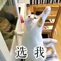 快來隨手拍城固，贏2000元大獎(jiǎng)！