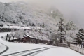就在今天，陜西太白山又下雪了！縮略圖