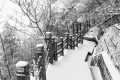 冷?冷?冷?，最低零下 6 ℃ ，漢臺迎來新一輪降溫降雪，詳情→縮略圖