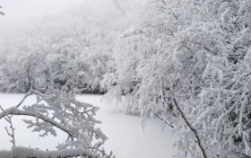 局地積雪可達10cm！冰雪路面如何安全行車？縮略圖