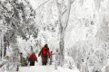 【鬧元宵·賞雪景】一起去漢江源看雪吧！縮略圖