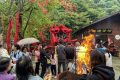 抓住假期的尾巴，來漢中這里不負(fù)千里迢迢的旅程！縮略圖