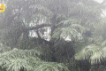 未來(lái)三天，陜西有強(qiáng)降水天氣過程，局地短時(shí)暴雨，具體預(yù)報(bào)→縮略圖