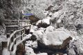 徒步金剛峽·賞雪漢江源，領略冬日別樣美景縮略圖