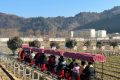 開門紅！全縣首輛！鱘游佛坪“熊貓?zhí)枴毙』疖囌竭\行→縮略圖