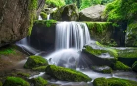 尋夢油菜花海，探秘漢江之源：三天兩晚奇遇之旅縮略圖