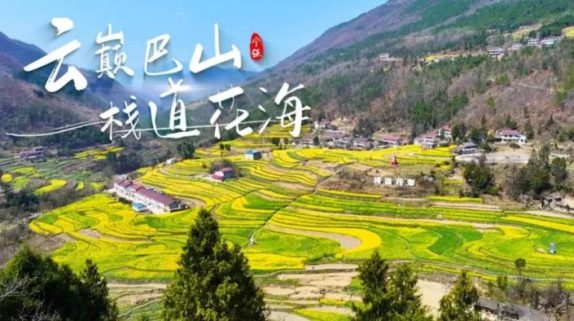 寧強(qiáng)巴山梯田油菜花，藏著漢中最立體的春天！縮略圖