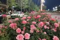 陜西發(fā)布消費提示！警惕“零團費”等不合理低價產(chǎn)品縮略圖