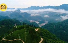 漢中一處宛如璞玉的秘境：鎮(zhèn)巴楮溪源景區(qū)縮略圖