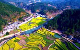 鎮(zhèn)巴簡(jiǎn)池鎮(zhèn)李塘村：春日河畔花海，宛如水墨仙境縮略圖