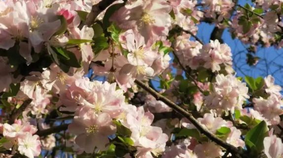 天漢濕地公園：漢中名副其實(shí)的“后花園”縮略圖