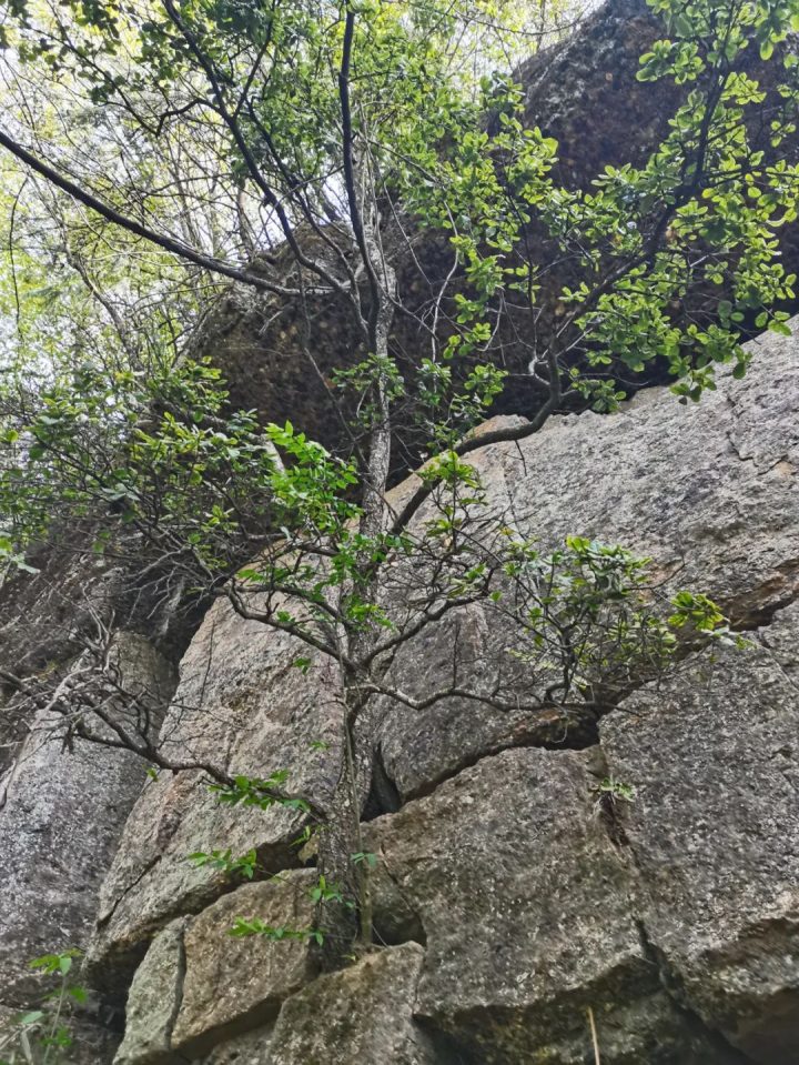 640-19