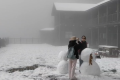 陜西寶雞太白山迎降雪，陜西氣象發(fā)布最新天氣公報(bào)→縮略圖