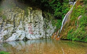 最高獎(jiǎng)勵(lì)1500元！在漢臺(tái)，舉報(bào)破壞野生動(dòng)植物違法行為有獎(jiǎng)縮略圖